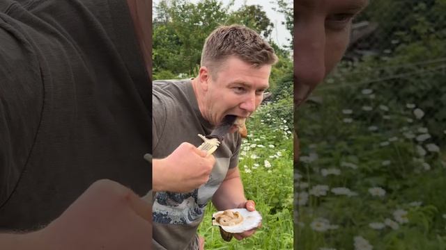 Вы это видели????Грядка с...
