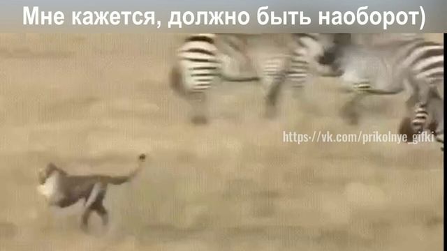 Мне кажется, должно быть наоборот)