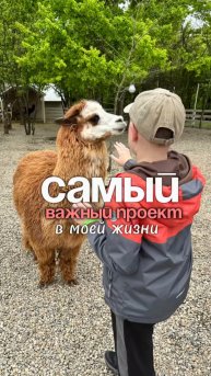 Детская мечта