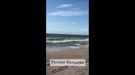 МЕСТО О КОТОРОМ ВЫ ЕЩЁ НЕ ЗНАЛИ🌊ДИКИЕ ПЛЯЖИ КАЛИНИНГРАДА #тревелвлог #tatianakis #хочуврек