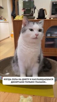 Дарю 2 бесплатных рецепта пп-десертов в комментариях