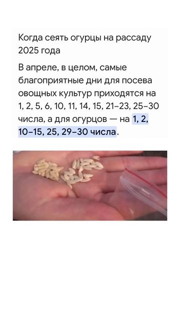 Когда сеять огурцы в апреле на рассаду?