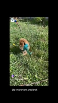 VID_28080404_194203_567.mp4