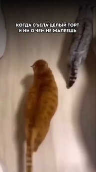 А ЧТО ЕСЛИ Я ВАМ СКАЖУ, ЧТО ЕСТЬ ДЕСЕРТЫ, КОТОРЫЕ НЕ НАВРЕДЯТ ФИГУРЕ! Как Читай в комментариях