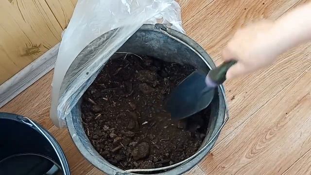 ЗДОРОВАЯ И КРЕПКАЯ РАССАДА. ПОКАЗЫВАЮ РЕЗУЛЬТАТ. ПИКИ?
