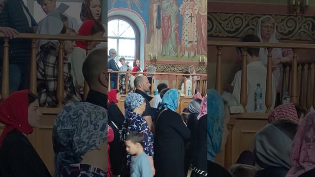 1000172646.mp4Христос Анести