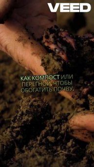 🌱 ПОДГОТОВКА ТЕПЛИЦЫ: как получить МАКСИМАЛЬНЫЙ урож