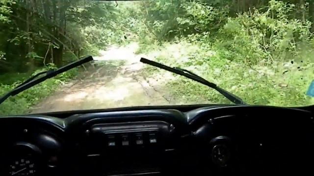 Рыбный день