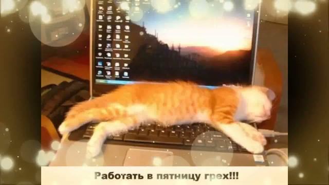 Ура, пятница!!! Всем хороших выходных и отличного настроения!!!