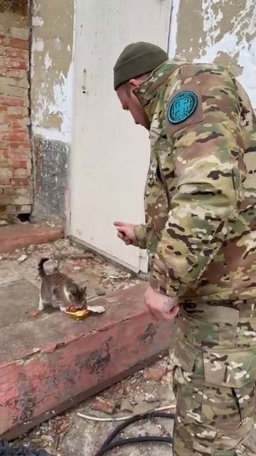 Русский воин самым дорогим с котом русским поделится!Брат за мохнатого брата!Так за основу взято🇷🇺