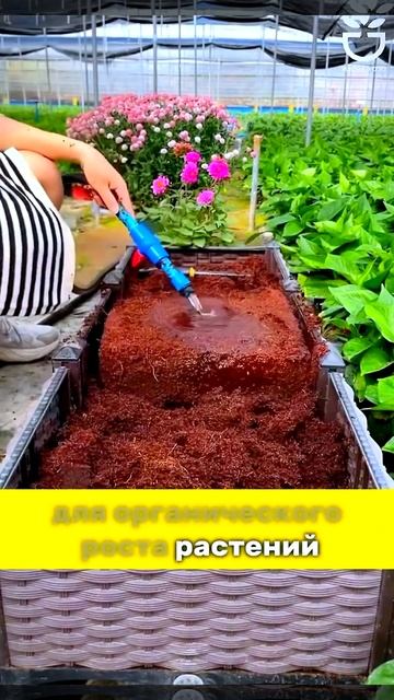 Плодородная земля с Вайлдберриз! Артикул на главной с?