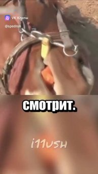 Постижение смысла жертвы Урок 6