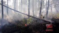 Девять лесных пожаров ликвидировали в Иркутской области. Два из них в Братском районе