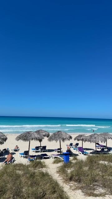 #shorts пляж и океан Sol Varadero Beach Сол Варадеро Бич (Adults Only 16+) Куба Варадеро