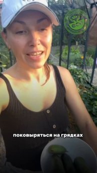 Вечерний урожай. #сад #огород #дача #земледелие #грядки