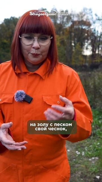 Как посадить чеснок осенью? / Эля Ямилева Strogoorganic