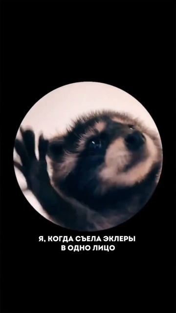 А я приглашаю вас бесплатно научиться готовить невероятные нежные пп-эклеры😍Подробности в описании