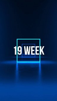 19 week /25