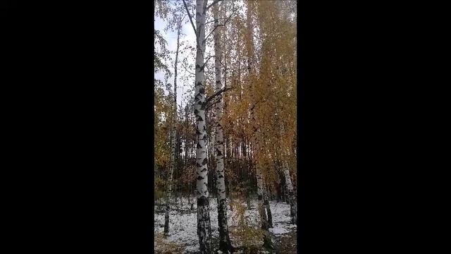 Фильм. В ноябре. 06.05.2025 года