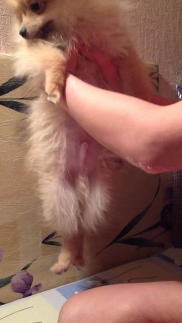 Наша ❤️❤️❤️
