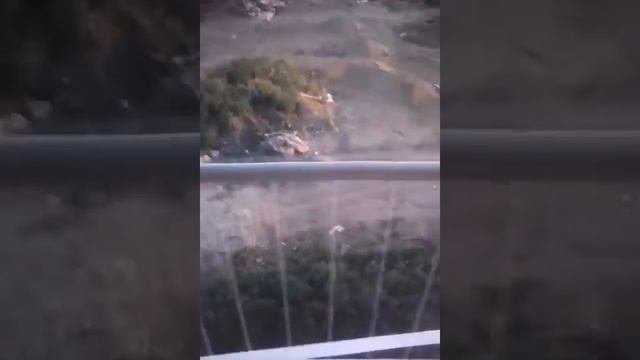 Бездомные животные часть1