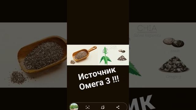 Семена Чиа#пользасемян#shorts#омега3#семеначиа#витамины#?