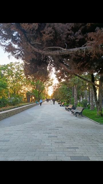Прогулка вечерком.