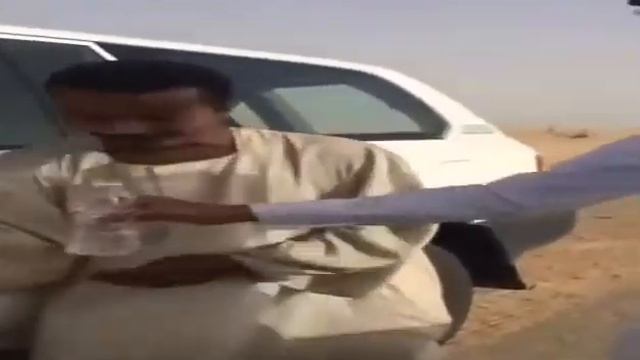 Вот идёт караван