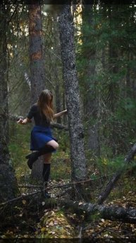 8686 | Красивые цветовые солнечные всходы и блики в лесу,