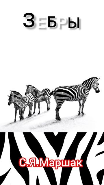 Зебры | Стихи детям 📚 | С. Я. Маршак ✒️ | Стихи для малышей на ночь 😴 Стихотворения