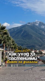 День 35/75 Как уход за растениями влияет на наши финансы