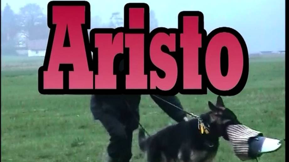 Aristo занятие 12
