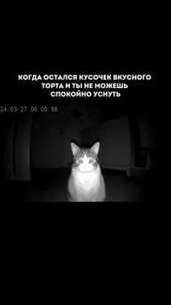 Дарю 15 рецептов вкусных пп-ужинов🍱Забрать можно в telegram — ссылка в шапке канала (15)