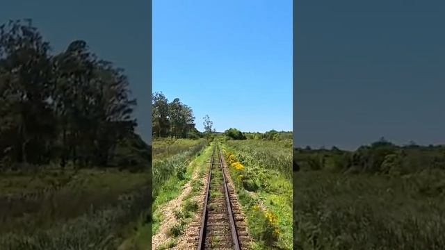 Как нарциссическое поведение родителей влияет на детей