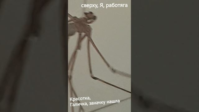 06-05-2025 семейная сцена