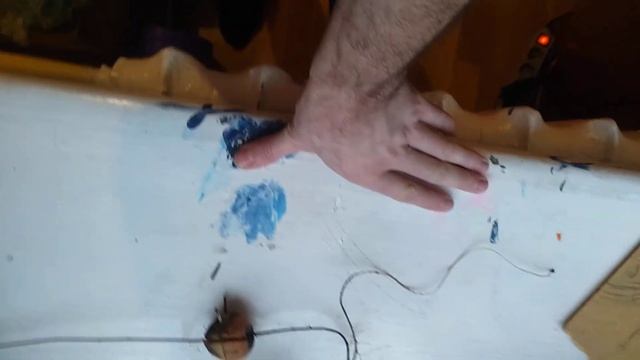 Авокадо пророщеное в воде, пересадка.