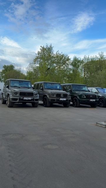 сторис