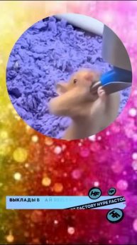 Hype Factory ссылка в шапке профиля #vrek #blum #hymor #memes #top #vrecomendacii #music #мемы #top