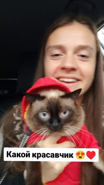 Какой красавчик 😍