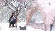 Отдыхаю в СНЕГОПАД и БУРЮ со своей маленькой собачкой в воздушной палатке, уютно и расслабляюще ASMR