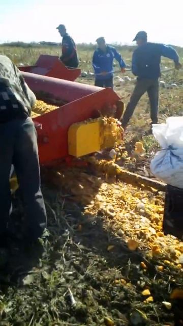 Комбайн для уборки тыквы