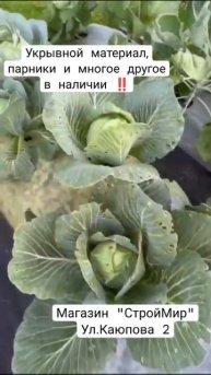 "СтройМир" Укрывной материал