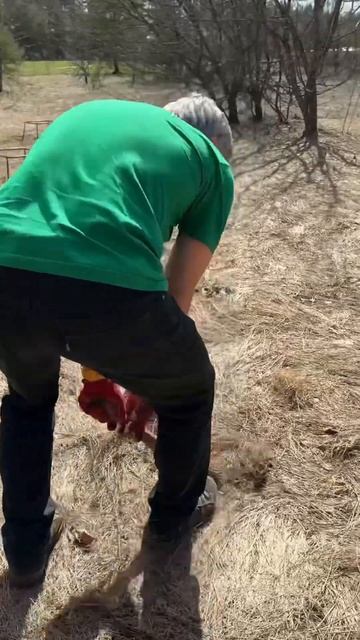 Посадка деревьев на пасеке в экопарке