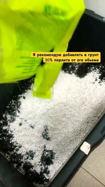 А вы знали об этом? #даогрин #лайфхакмикрозелень #перли