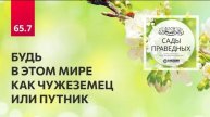 65.7 БУДЬ В ЭТОМ МИРЕ КАК ЧУЖЕЗЕМЕЦ ИЛИ ПУТНИК. Глава 65. Хадис 574