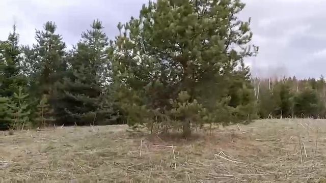 Pogoda v Sibiri природа, красоты
