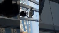 Большая экскурсия Дубай. Часть 9.