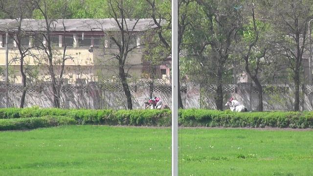 27.04.2025г скачка 10