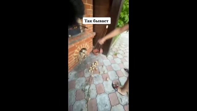 Топ ржачных видео. ПРИКОЛЫ 2022 ЯНВАРЬ.