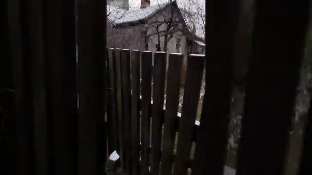 28.11.19.мелкий первый снег 🐈